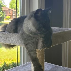 Meet your Posher, Alison